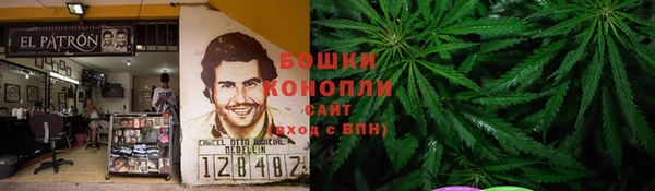 крисы Аркадак