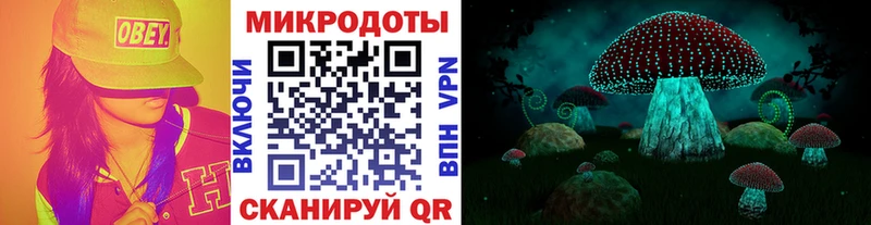 Галлюциногенные грибы мицелий  дарнет шоп  Оха 